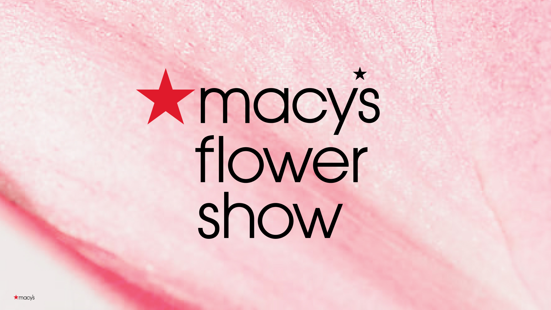 Flower Show wordmark on rose wash